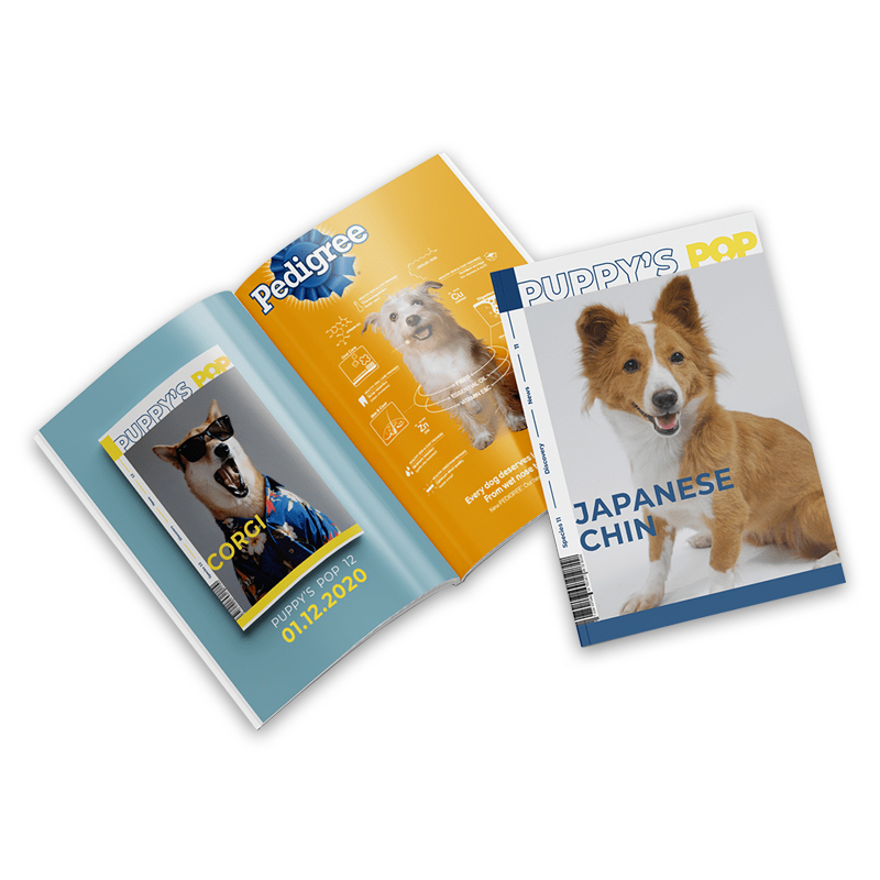 Cute Pet Magazine Printing Pape